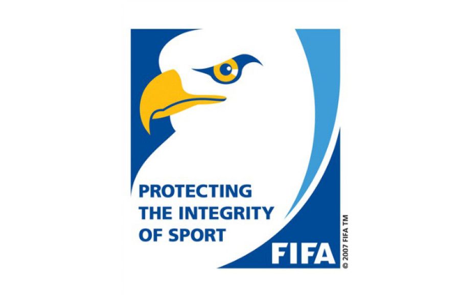 FIFA EWS Logo